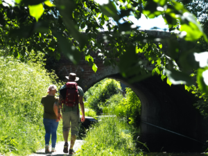 People walking in the woods